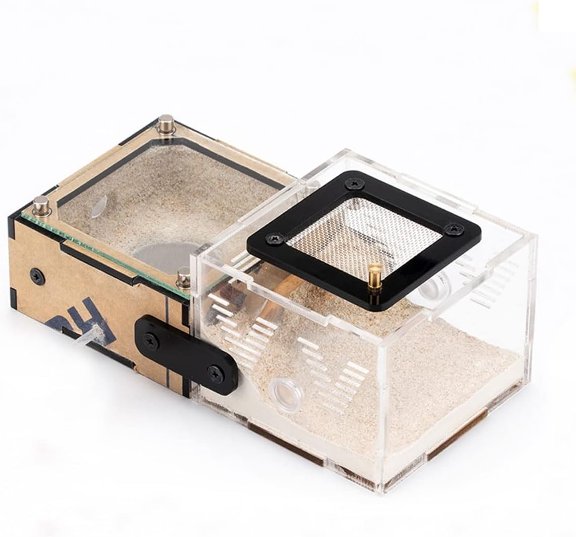 箱付き　リージェント（750ml) 2本セット 箱付き リージェント（750ml) 2本セット Yahoo!オークション